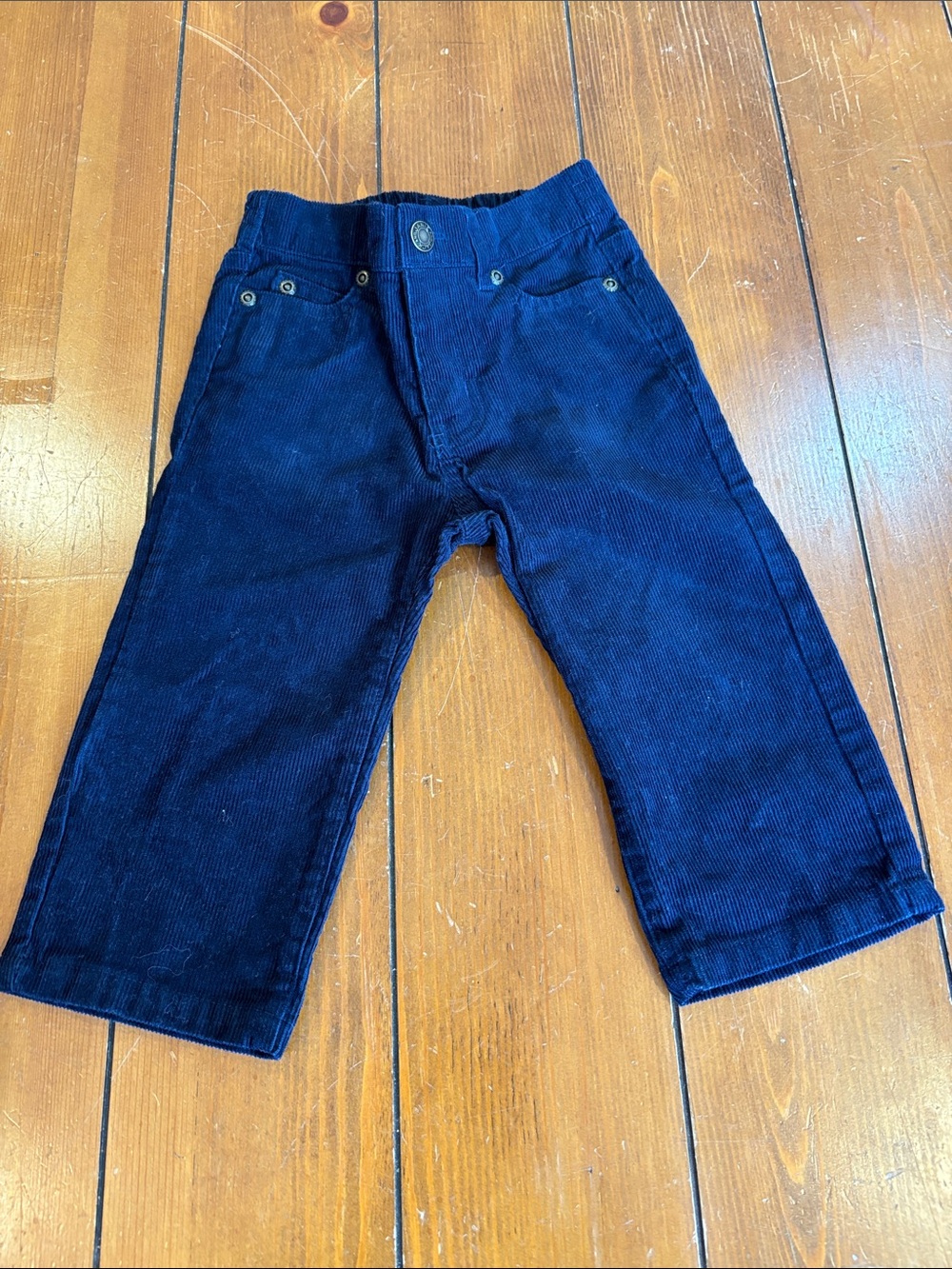 Janie and Jack Navy Blue Corduroy Pants Boys Size 12-18 Months EUC